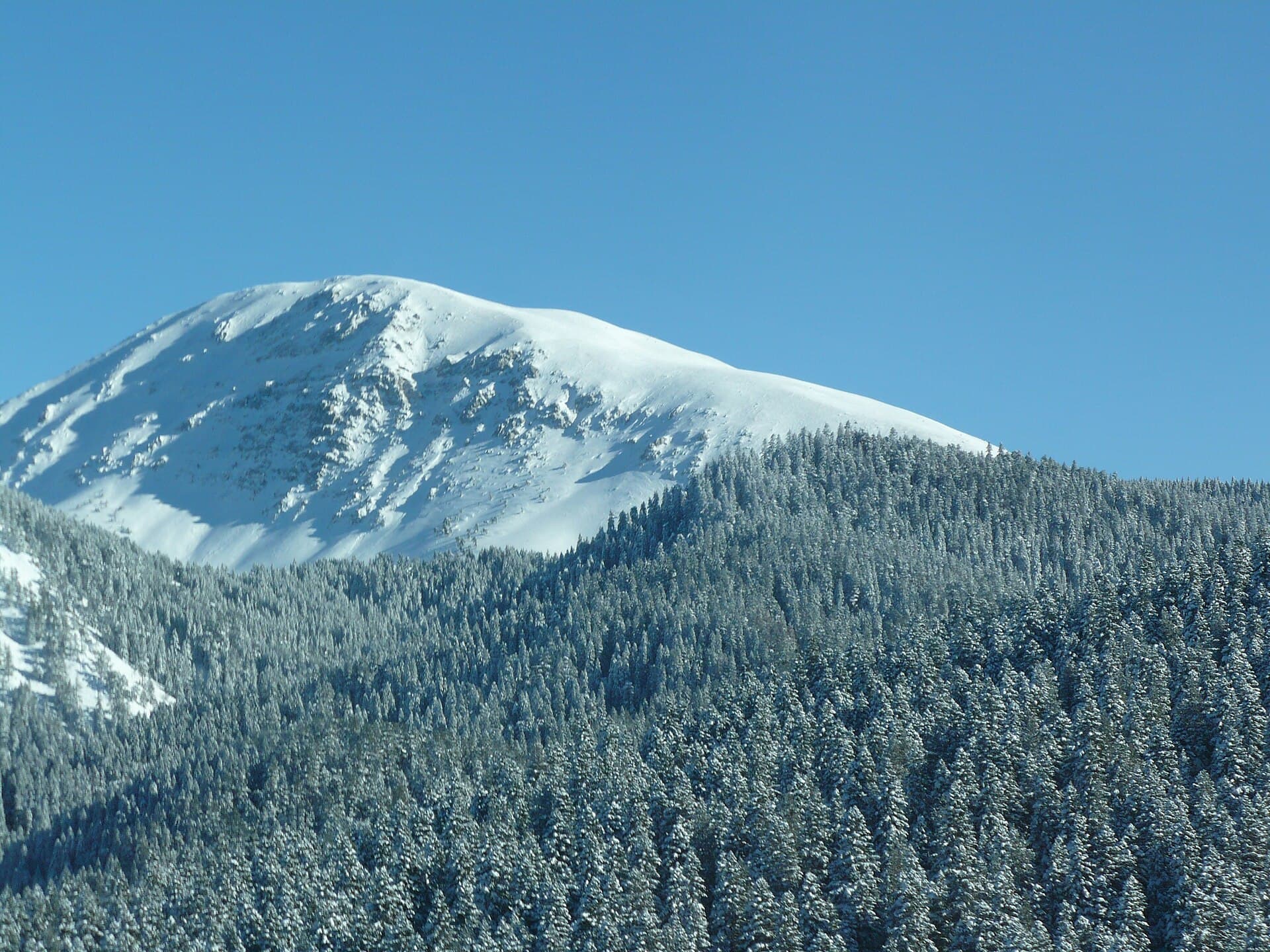 Ilgaz Dağı