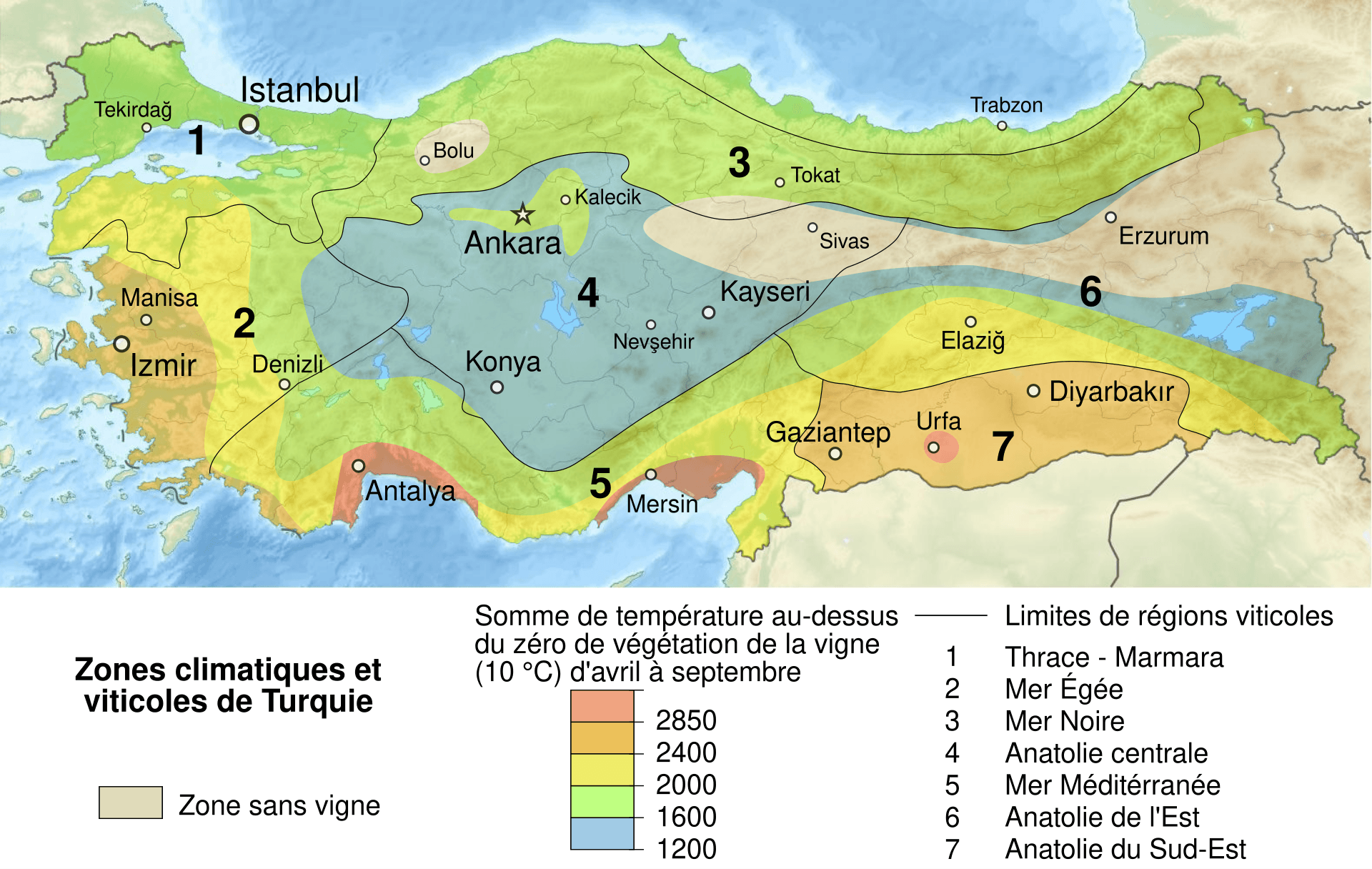 Urla bağları