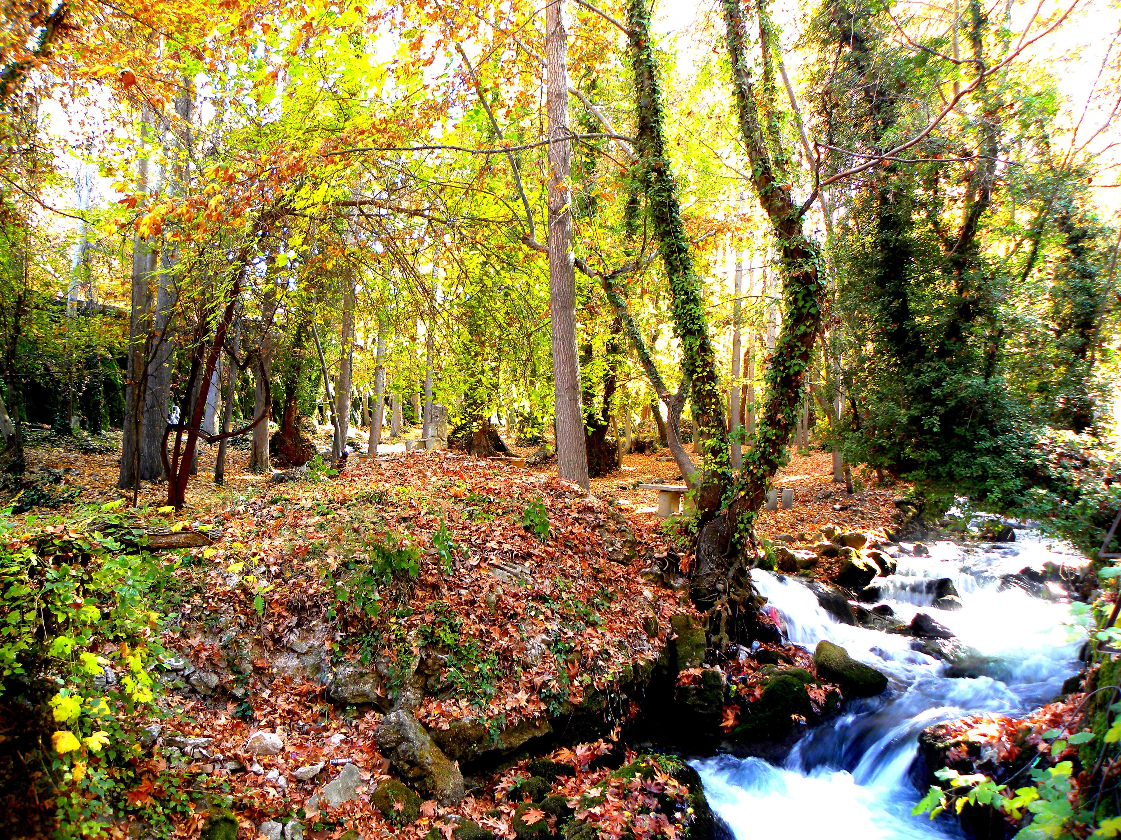 Karaman