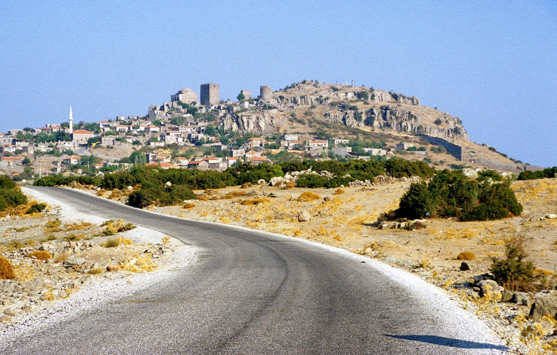 Assos