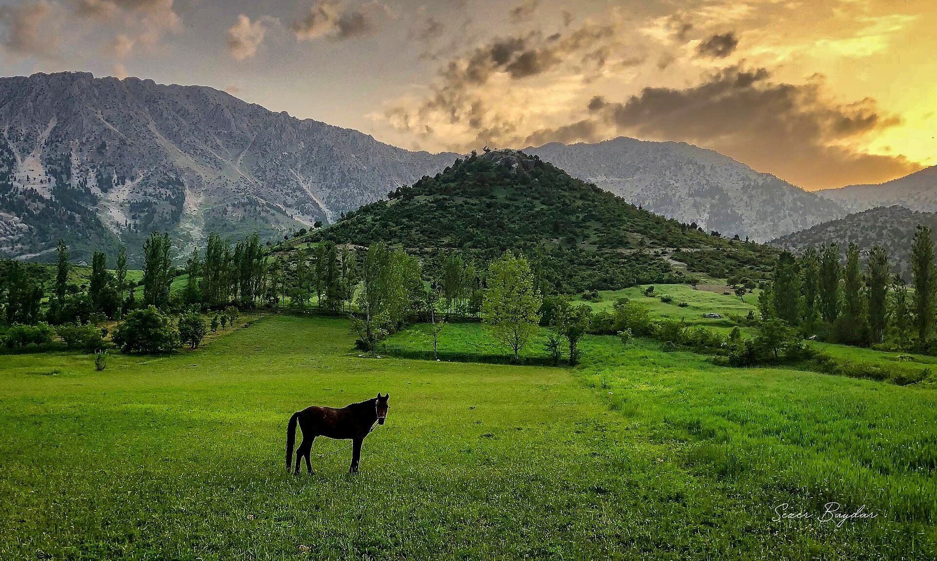 Kapıçam